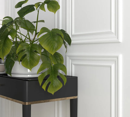 Collection image for: Wall Moulding