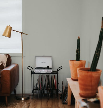 COAT Paint | Yard Party | Hazy Grey Green