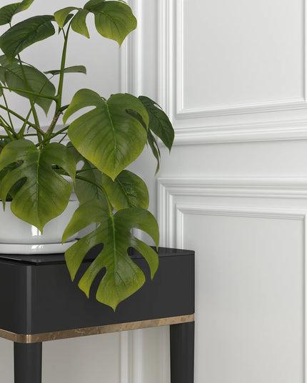 Wainscoting Wall Panelling - Thin Moulding Strips 003